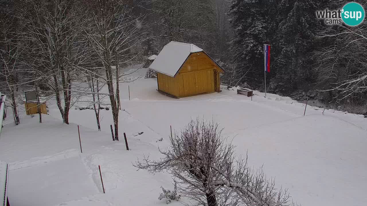 Webcam Lukanja – Water Village | Pohorje Houses