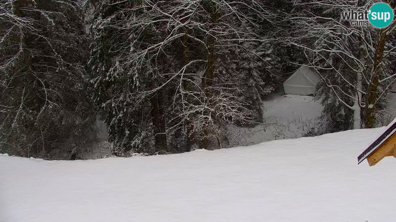 Webcam Lukanja – Water Village | Pohorje Houses