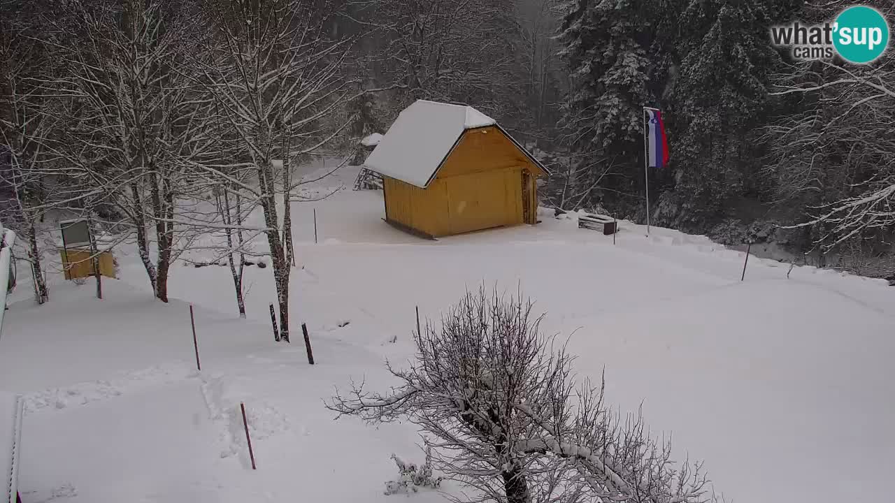 Webcam Lukanja – Water Village | Pohorje Houses