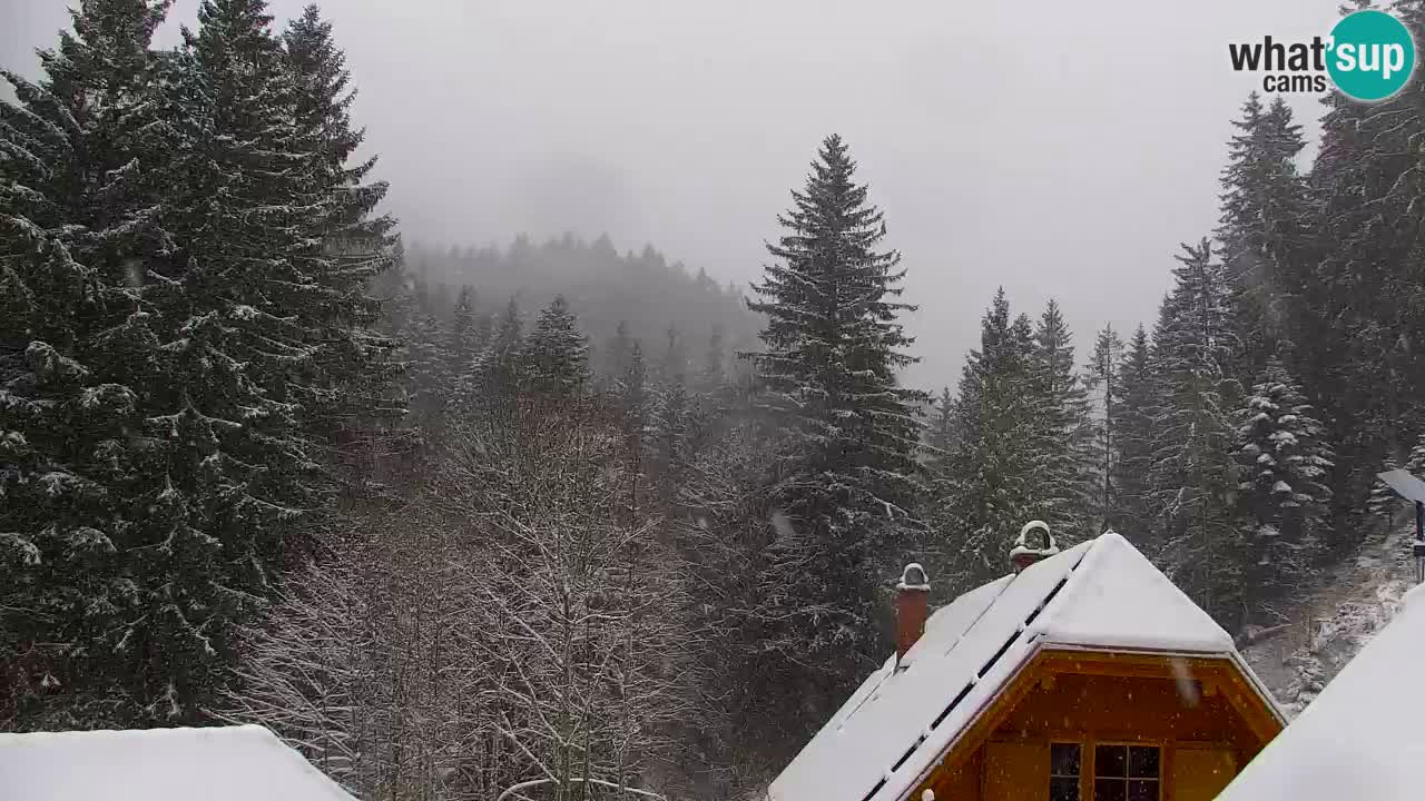 Web kamera Lukanja – Water Village | Pohorje Houses