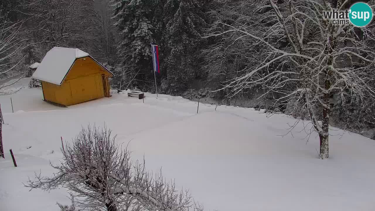 Spletna kamera Lukanja – Water Village | Pohorje Houses
