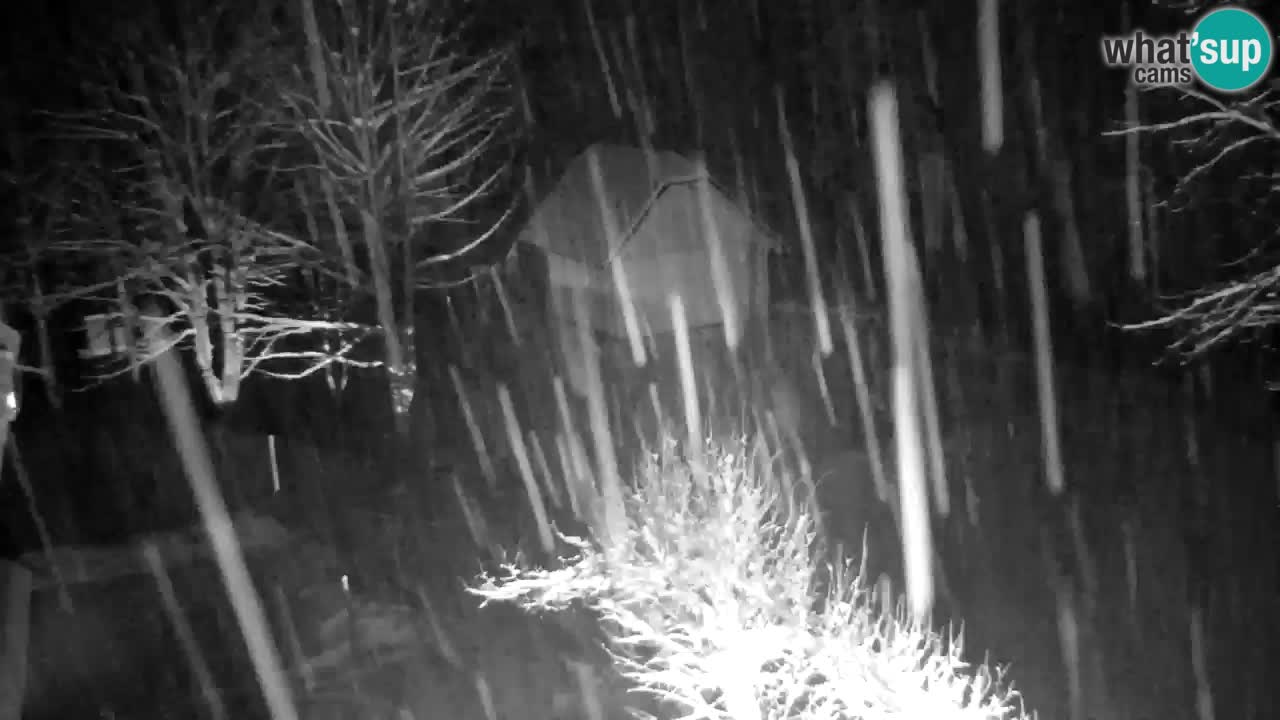 Webcam Lukanja – Water Village | Pohorje Houses