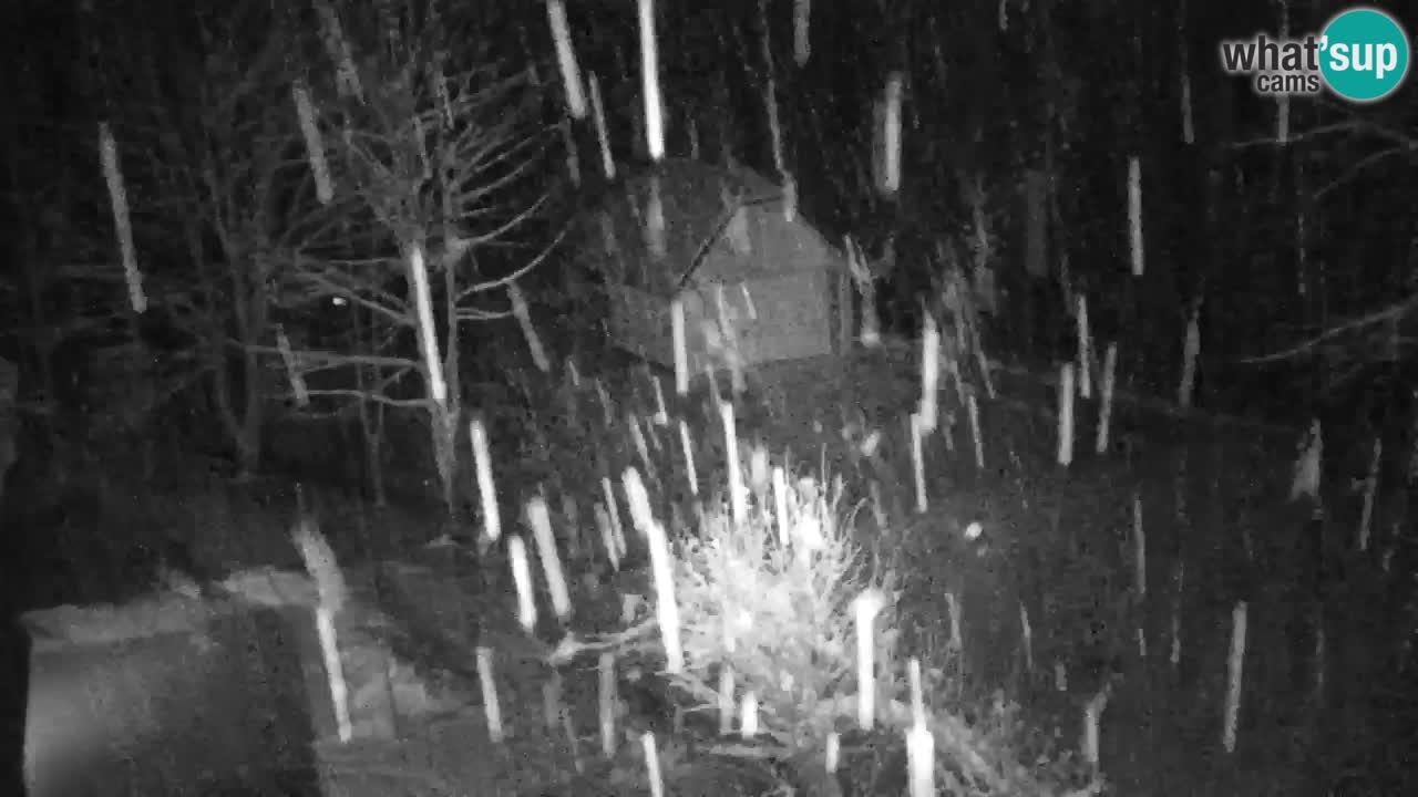 Webcam Lukanja – Water Village | Pohorje Houses