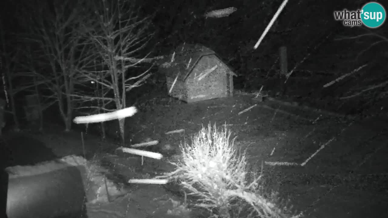 Web kamera Lukanja – Water Village | Pohorje Houses