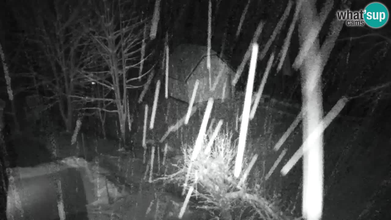 Webcam Lukanja – Pohorje houses a Water village