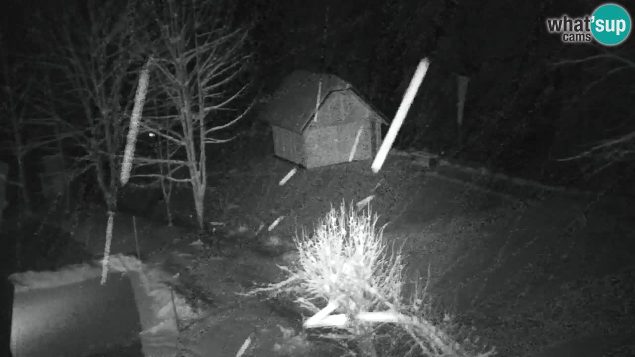 Webcam Lukanja – Pohorje houses a Water village