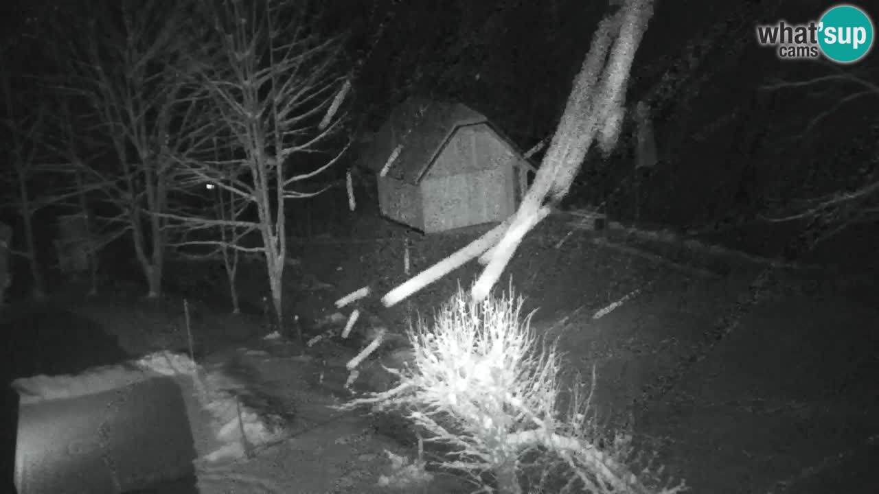 Webcam Lukanja – Pohorje houses a Water village