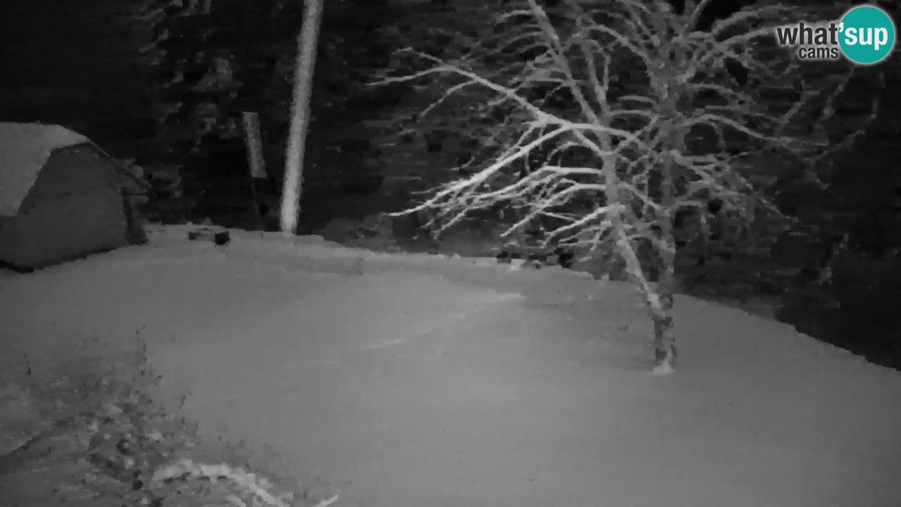 Webcam Lukanja – Pohorje houses a Water village