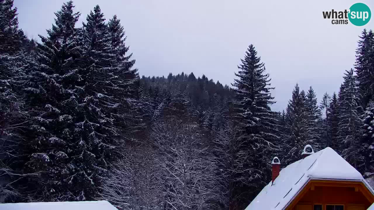 Webcam Lukanja – Pohorje houses a Water village