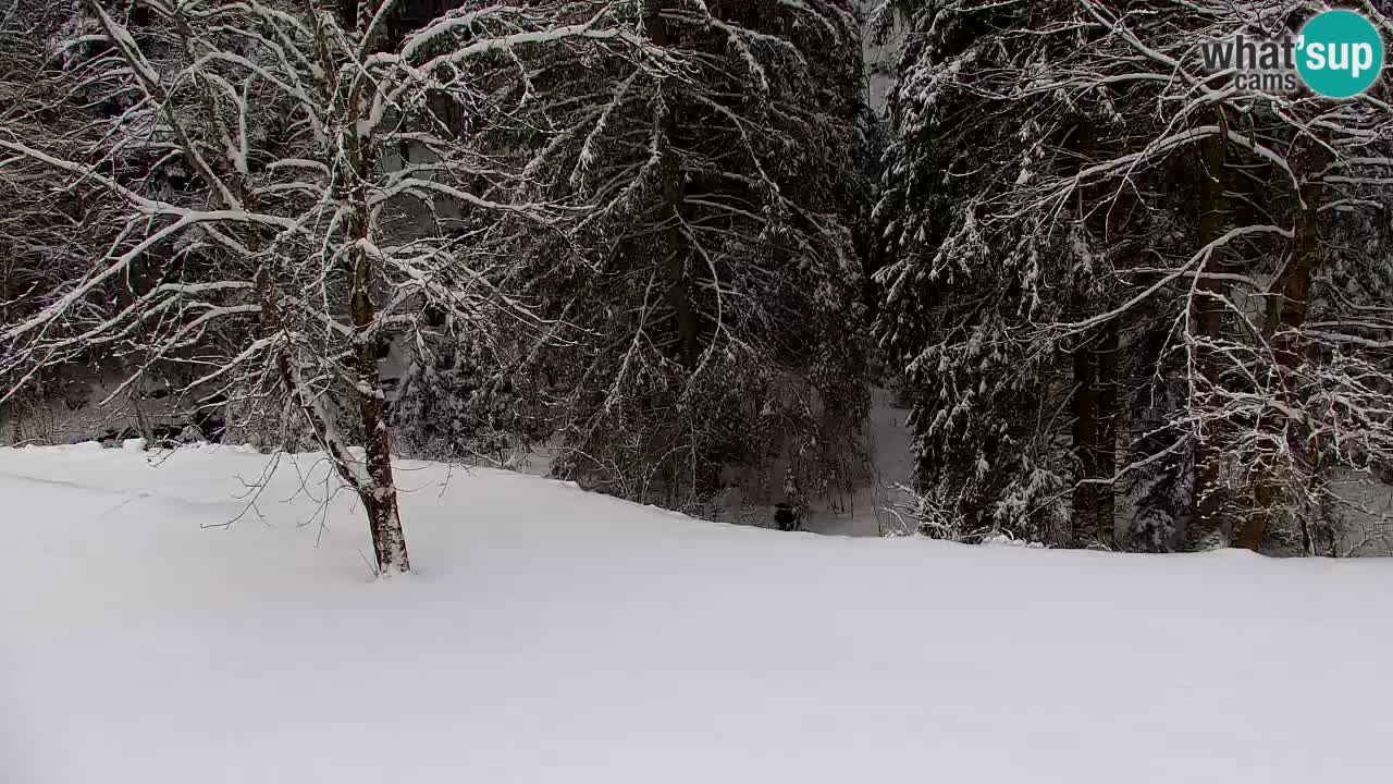 Webcam Lukanja – Pohorje houses a Water village