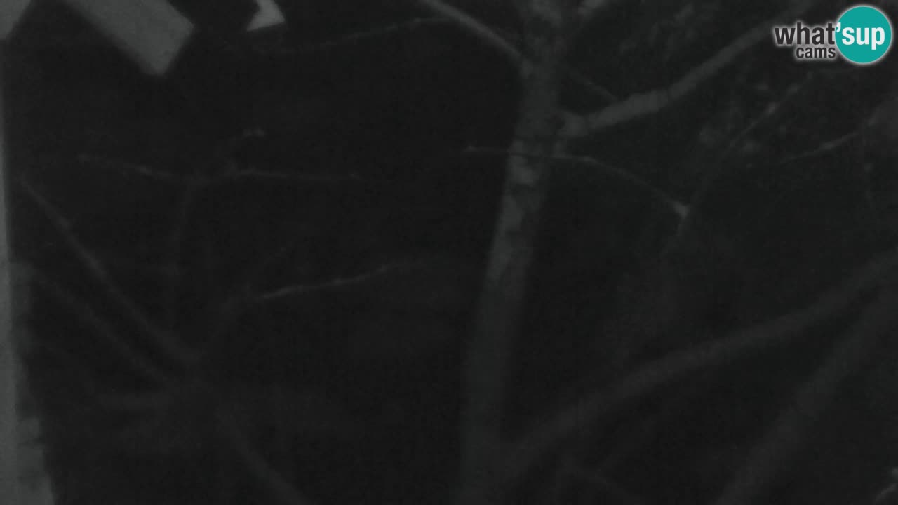 Webcam Lukanja – Water Village | Pohorje Houses