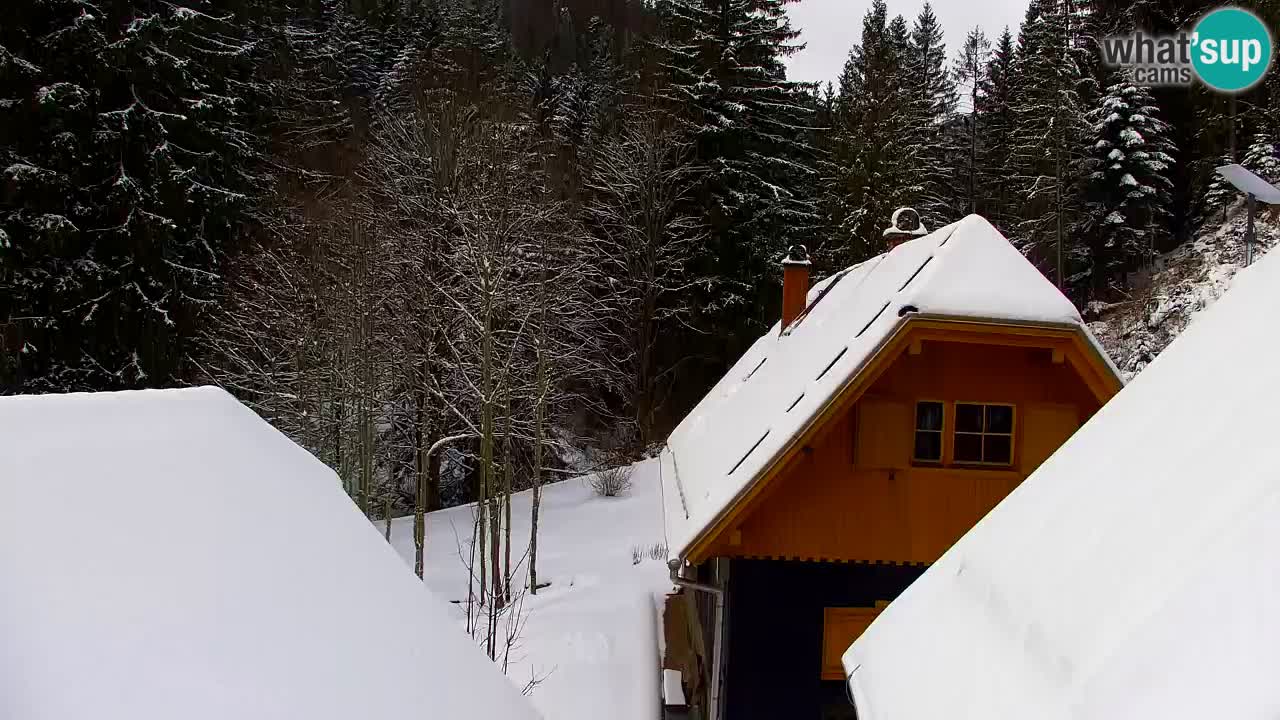 Webcam Lukanja – Pohorje houses a Water village