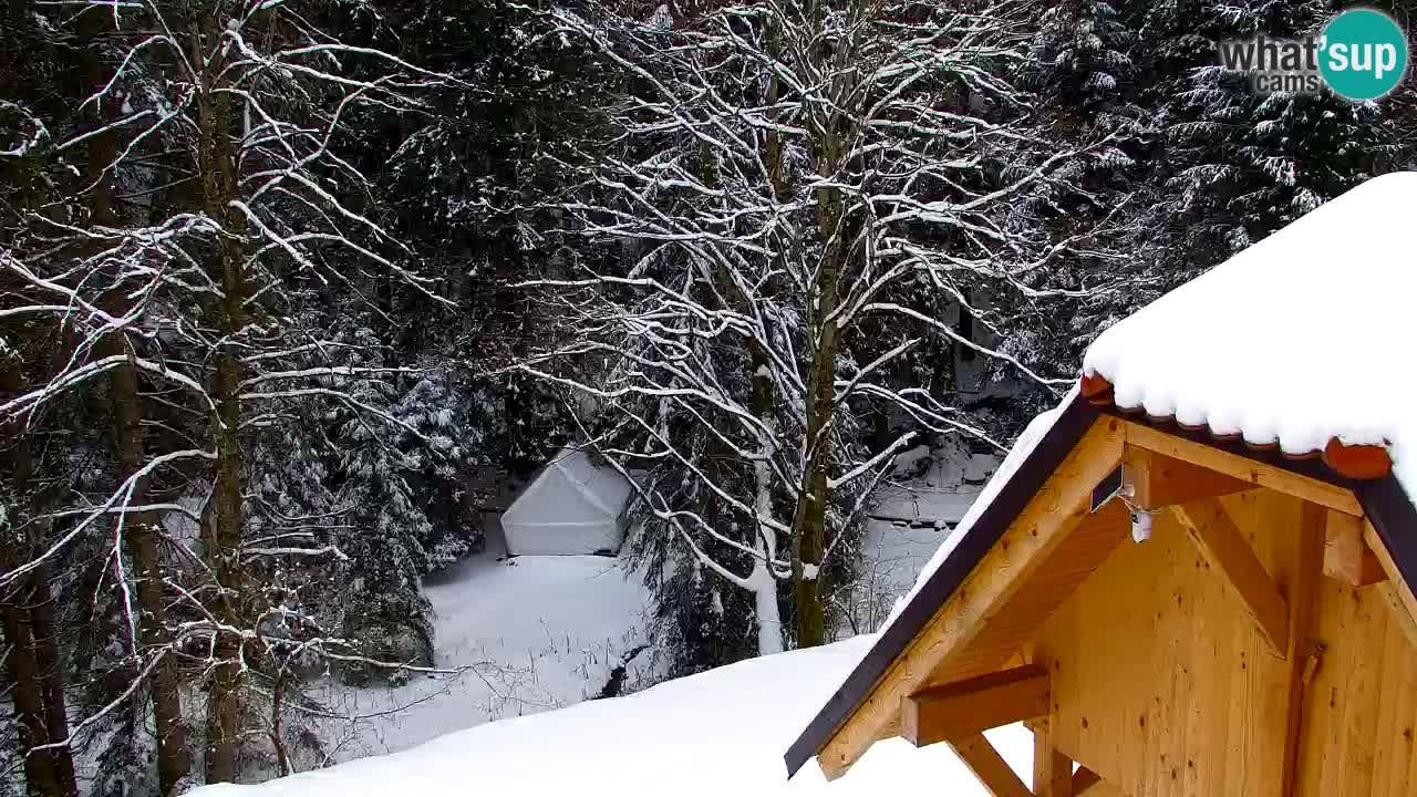 Webcam Lukanja – Pohorje houses a Water village