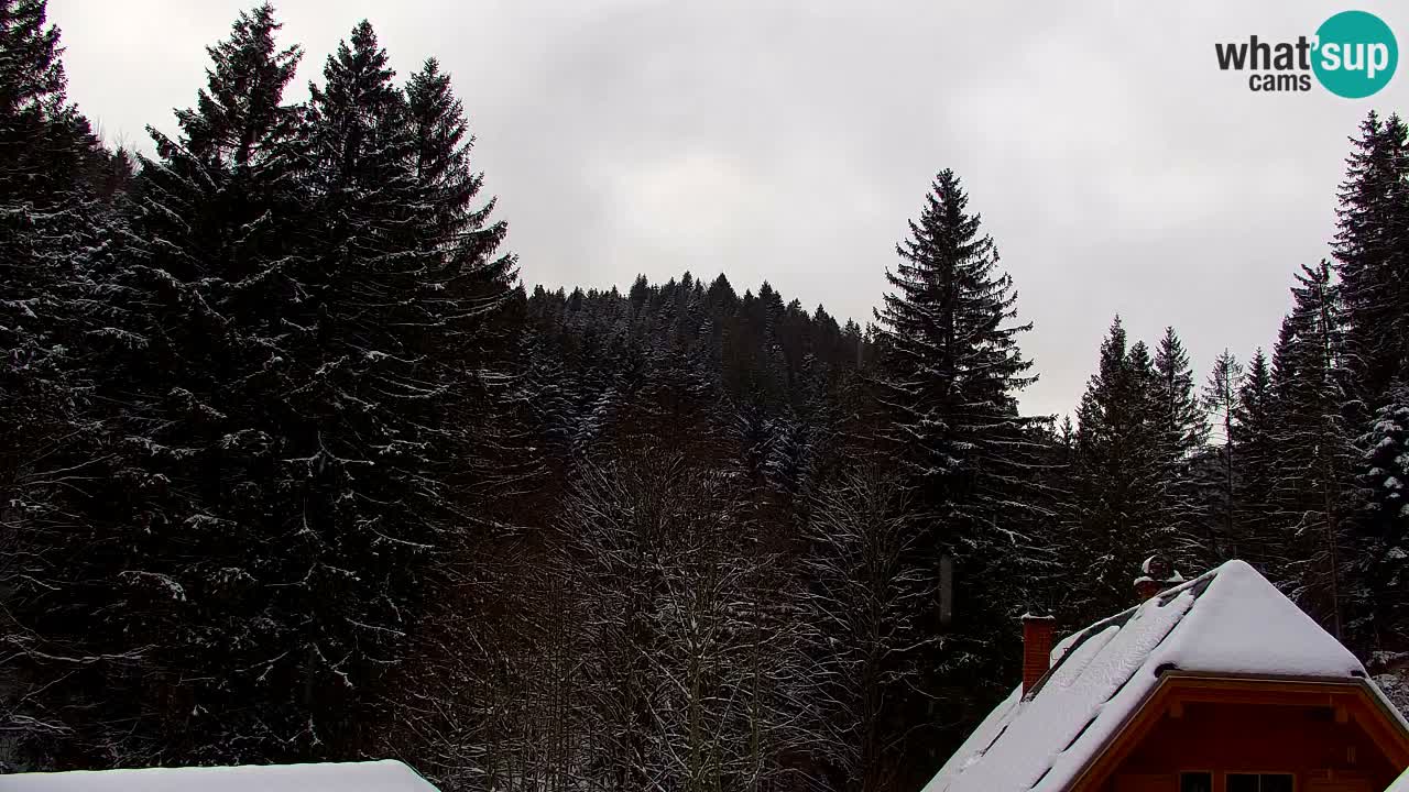 Spletna kamera Lukanja – Water Village | Pohorje Houses