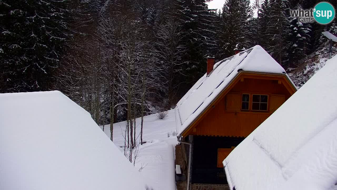 Webcam Lukanja – Water Village | Pohorje Houses
