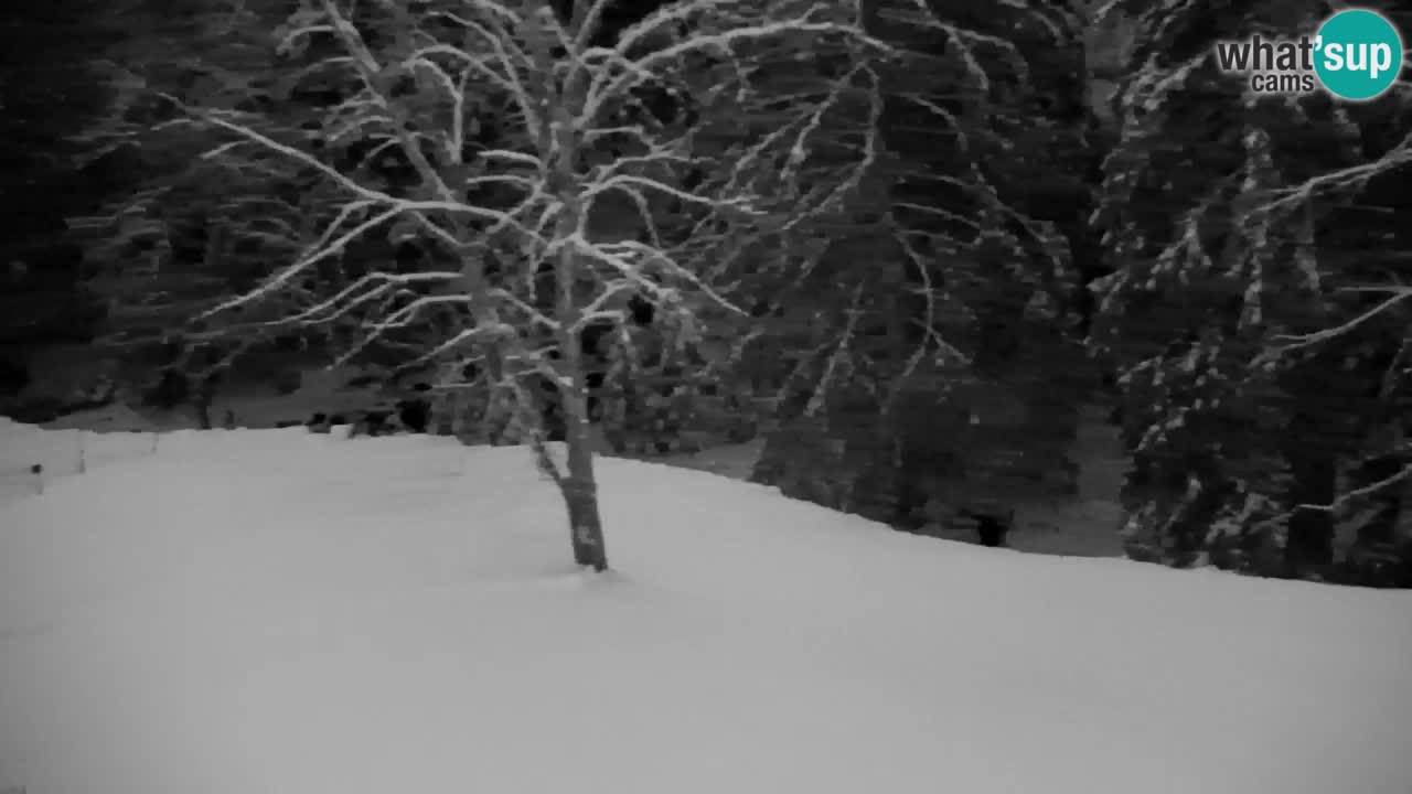 Webcam Lukanja – Water Village | Pohorje Houses