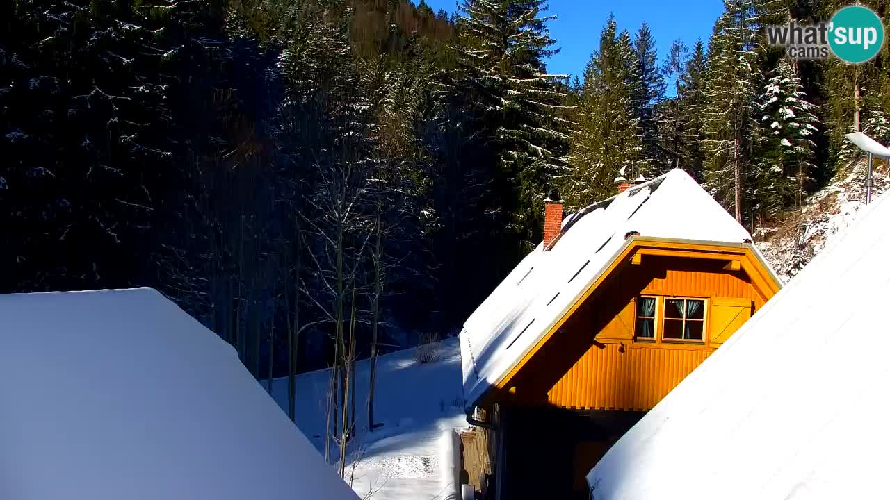 Webcam Lukanja – Water Village | Pohorje Houses