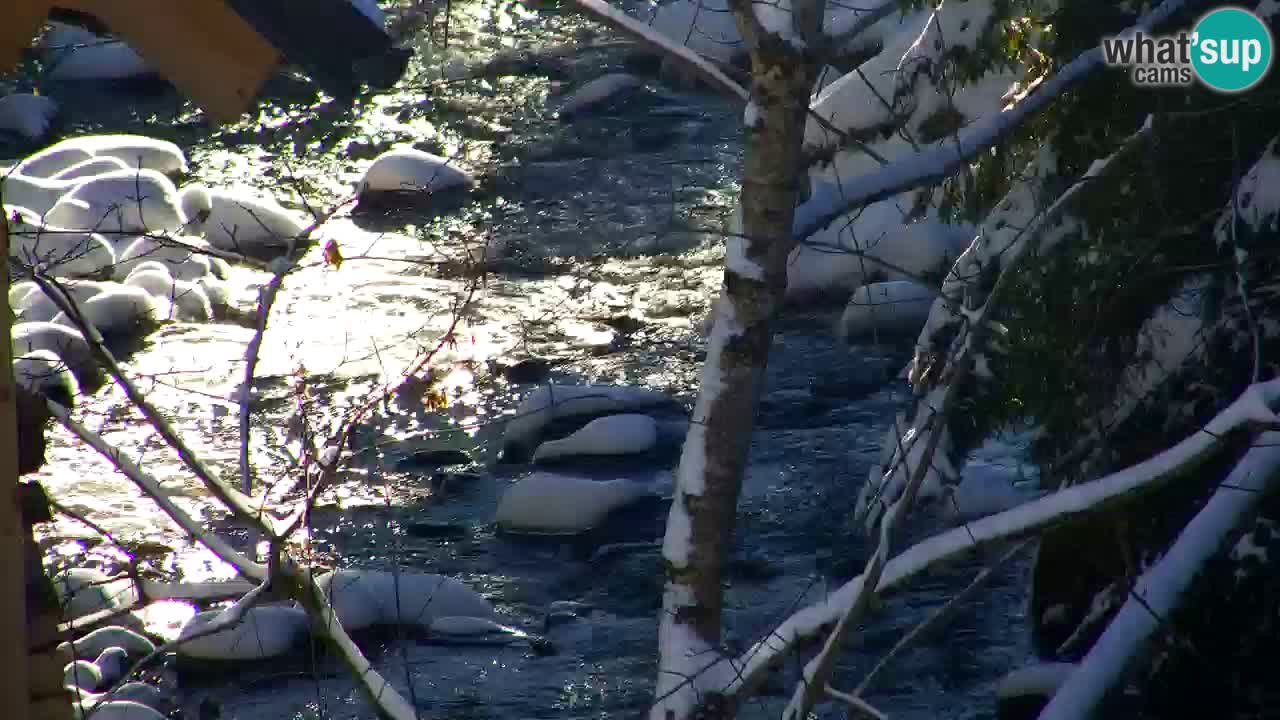 Spletna kamera Lukanja – Water Village | Pohorje Houses