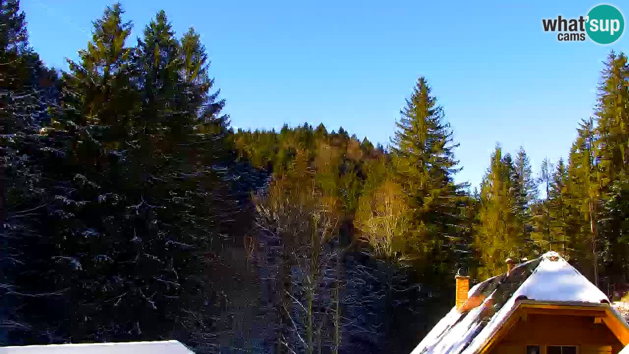 Webcam Lukanja – Water Village | Pohorje Houses