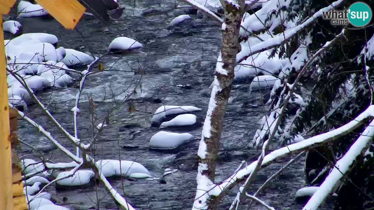 Webcam Lukanja – Pohorje houses a Water village