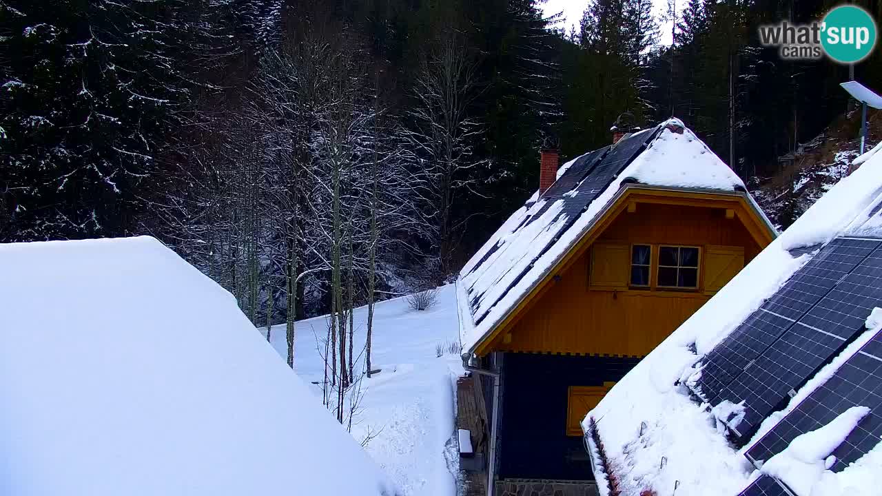 Webcam Lukanja – Water Village | Pohorje Houses