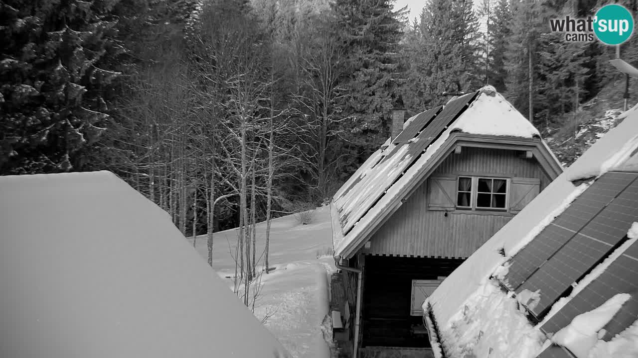 Webcam Lukanja – Water Village | Pohorje Houses