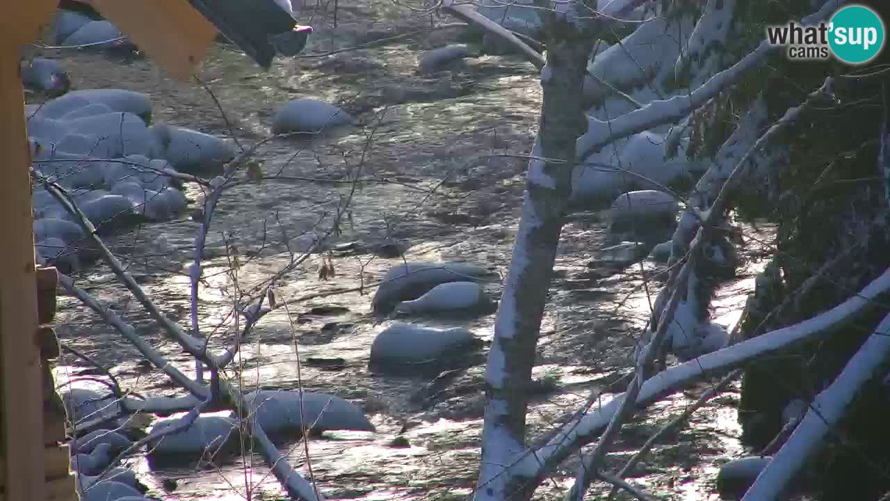 Webcam Lukanja – Water Village | Pohorje Houses