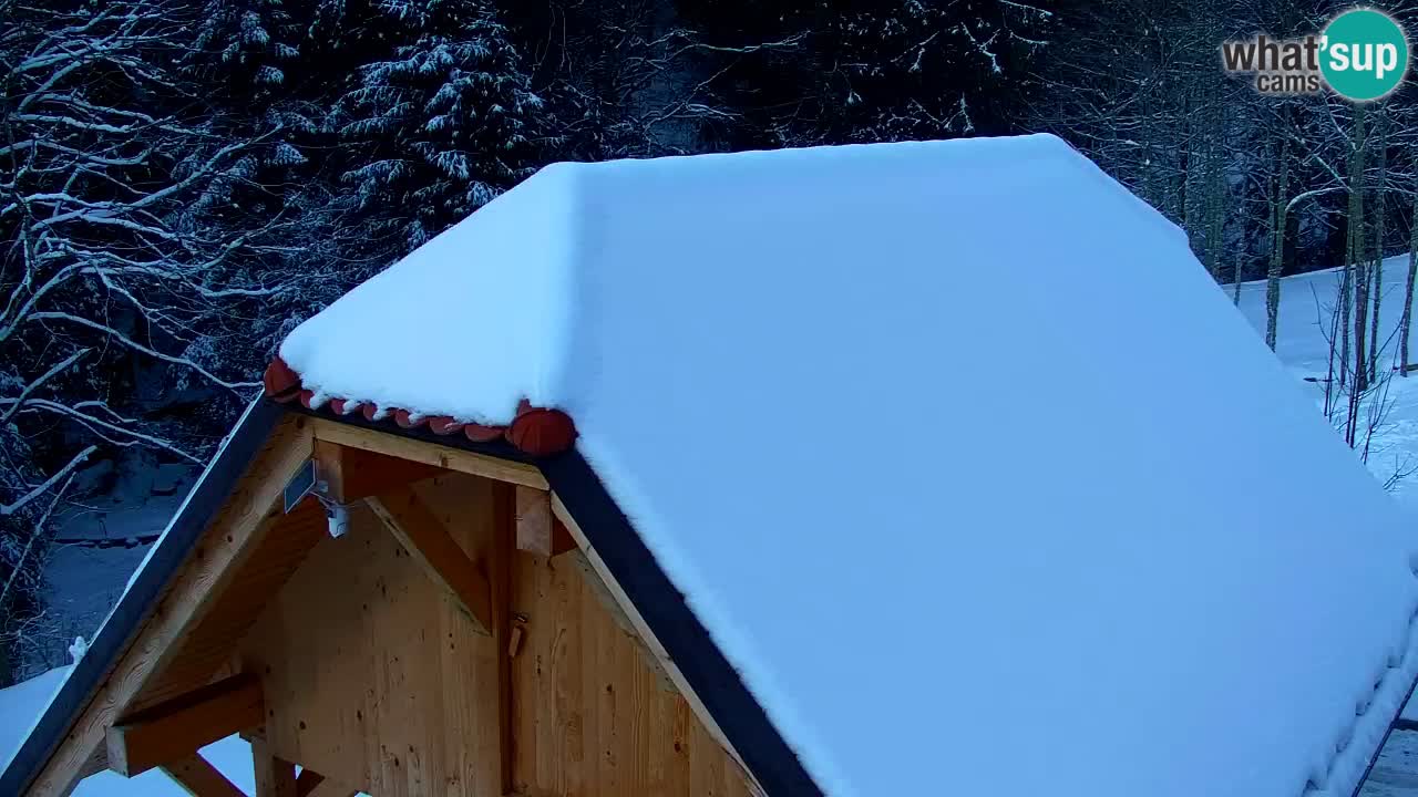 Webcam Lukanja – Water Village | Pohorje Houses