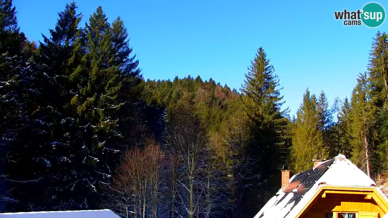 Webcam Lukanja – Water Village | Pohorje Houses