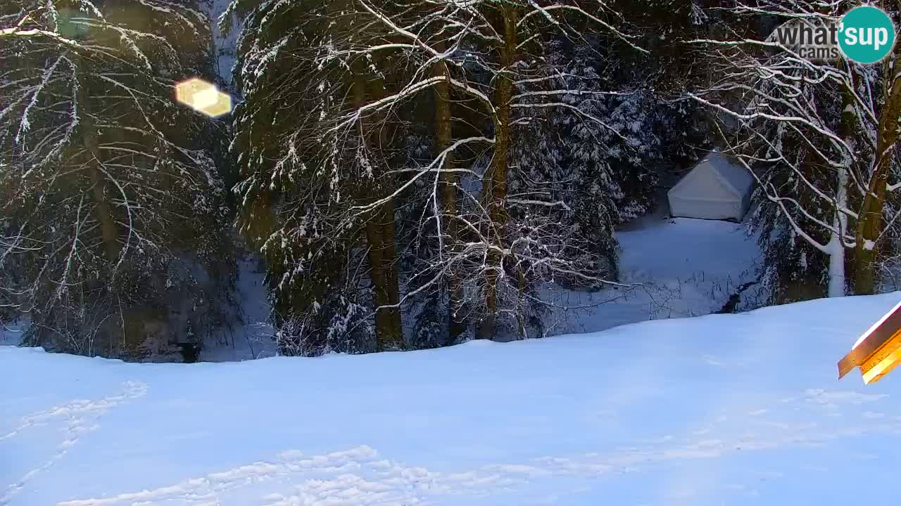 Webcam Lukanja – Water Village | Pohorje Houses