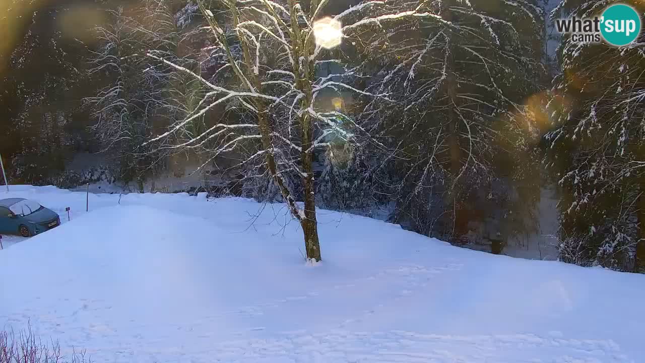 Webcam Lukanja – Water Village | Pohorje Houses