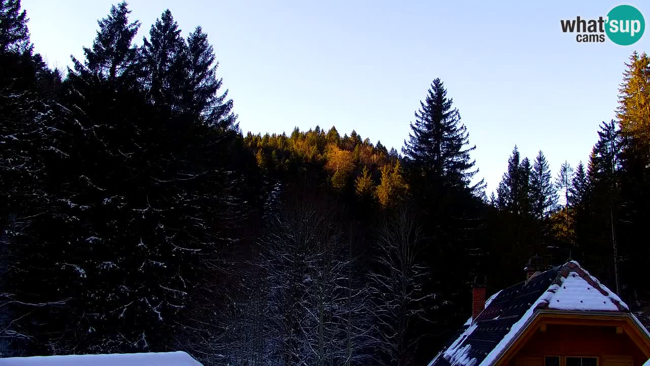 Webcam Lukanja – Water Village | Pohorje Houses