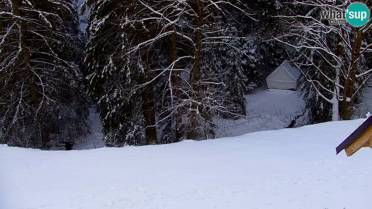 Webcam Lukanja – Water Village | Pohorje Houses