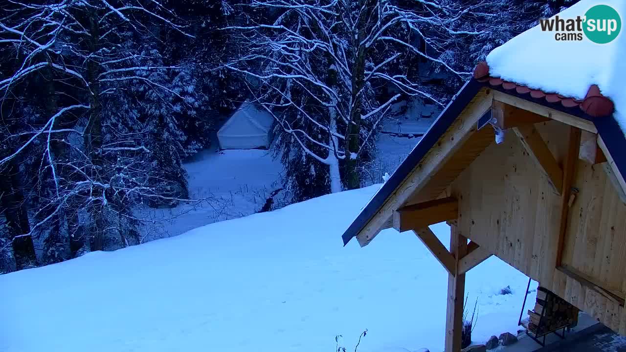 Webcam Lukanja – Water Village | Pohorje Houses