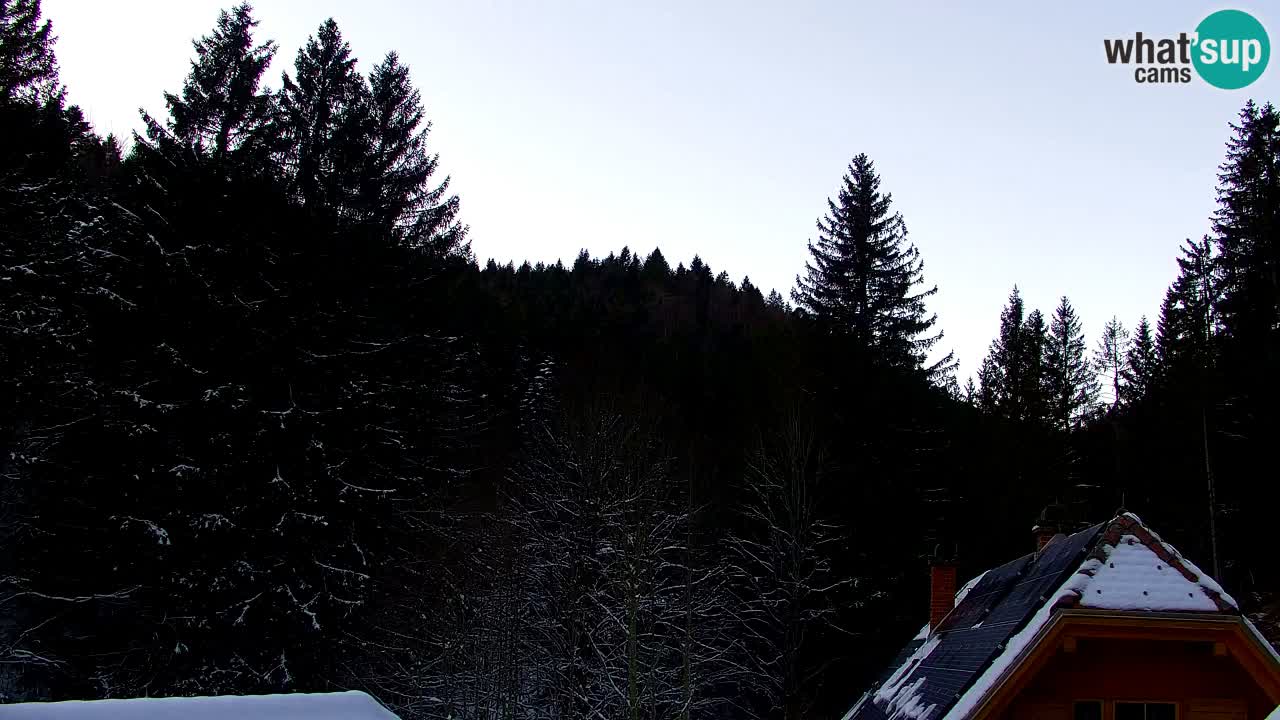 Webcam Lukanja – Pohorje houses a Water village