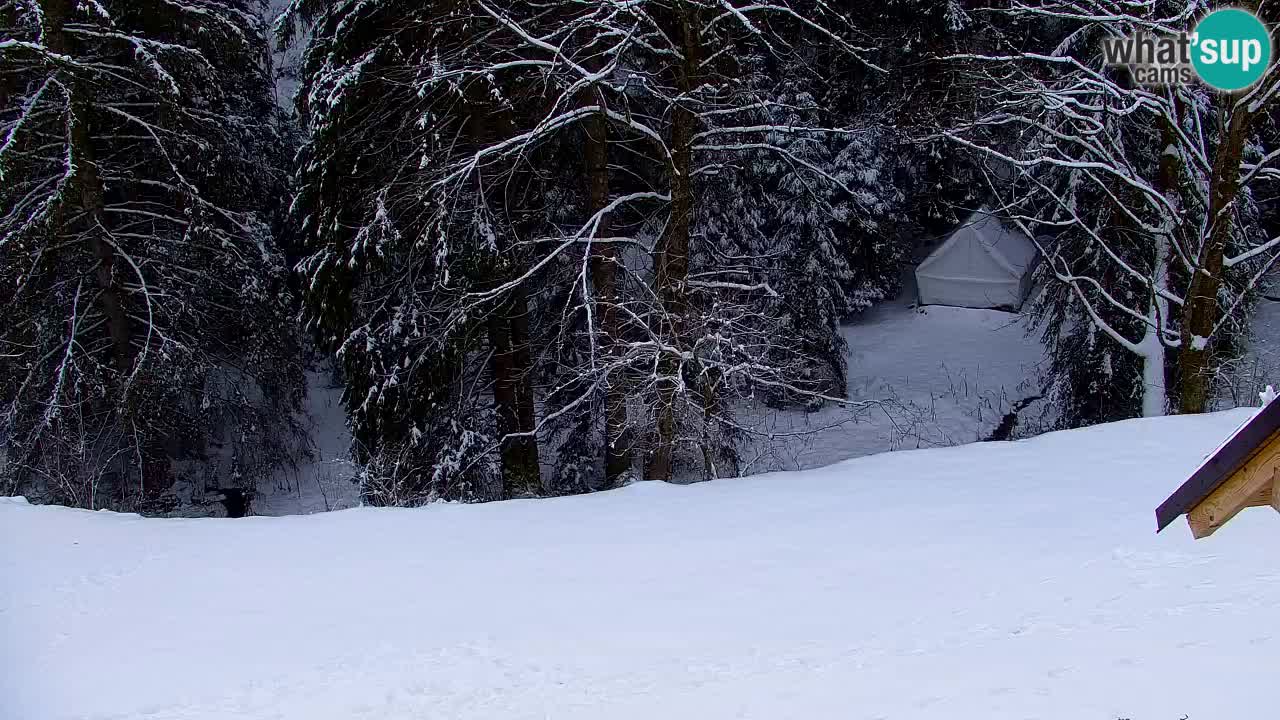 Webcam Lukanja – Water Village | Pohorje Houses