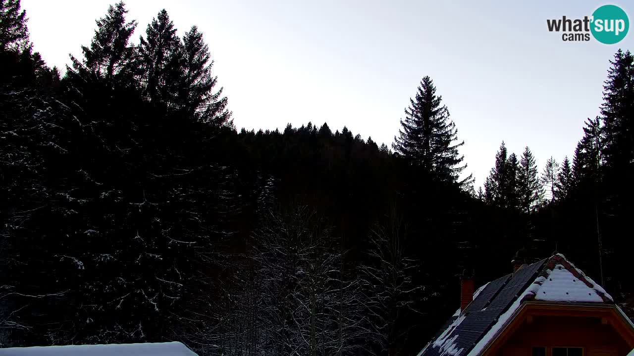 Webcam Lukanja – Water Village | Pohorje Houses