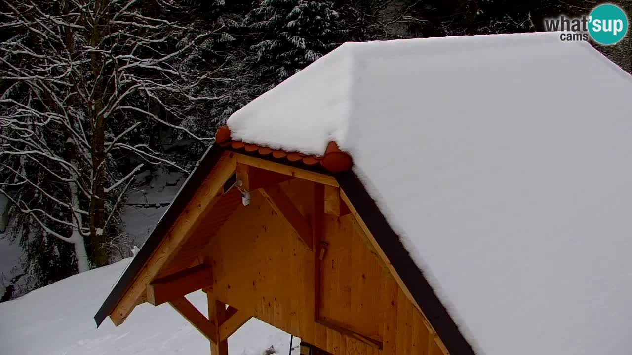 Webcam Lukanja – Water Village | Pohorje Houses