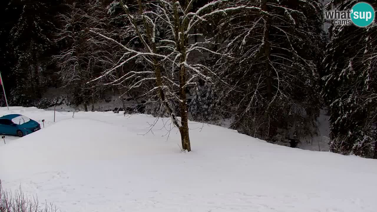 Webcam Lukanja – Water Village | Pohorje Houses