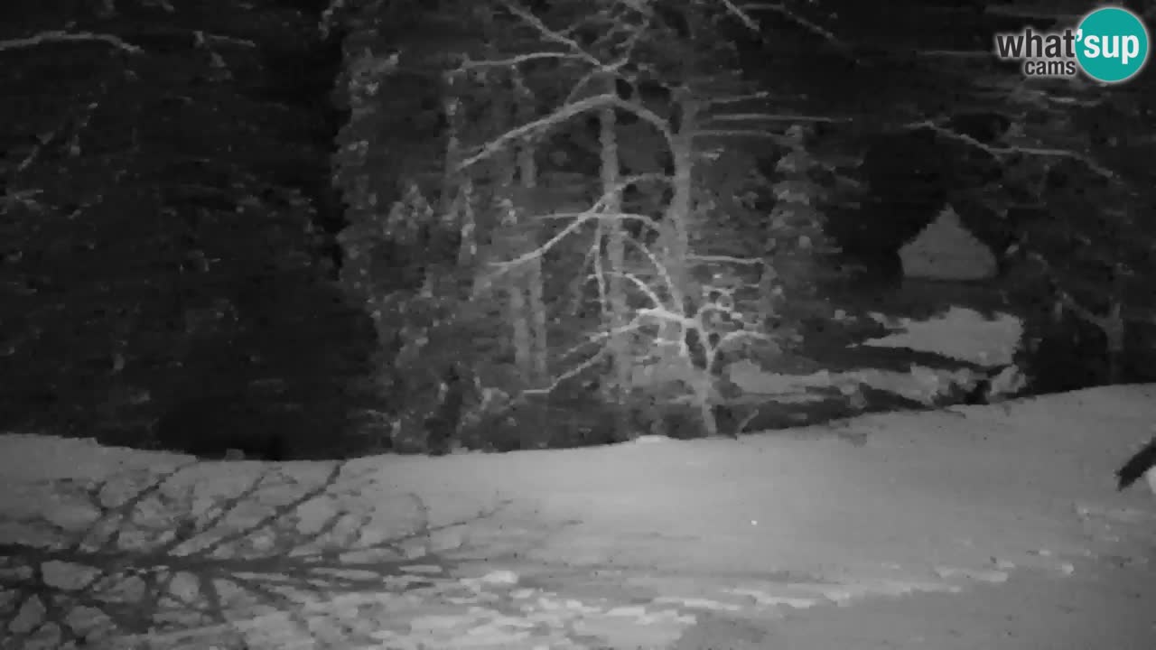 Webcam Lukanja – Pohorje houses a Water village