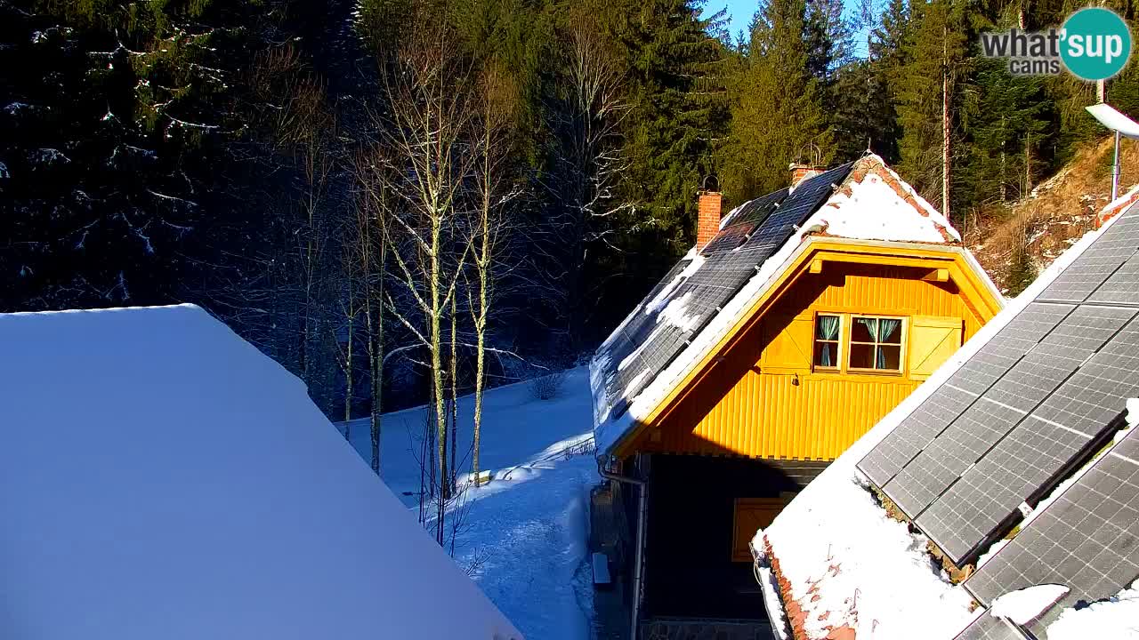 Webcam Lukanja – Water Village | Pohorje Houses