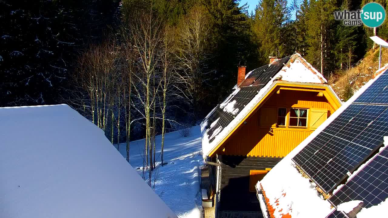 Webcam Lukanja – Water Village | Pohorje Houses