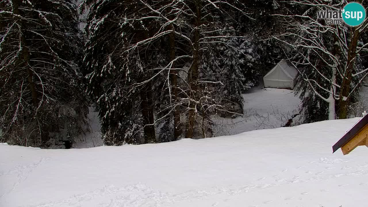 Webcam Lukanja – Water Village | Pohorje Houses