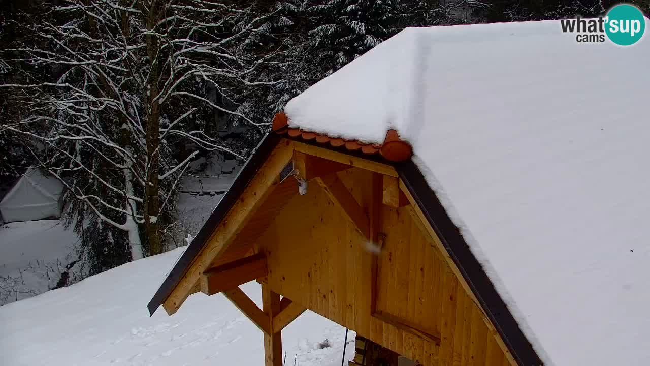 Webcam Lukanja – Water Village | Pohorje Houses