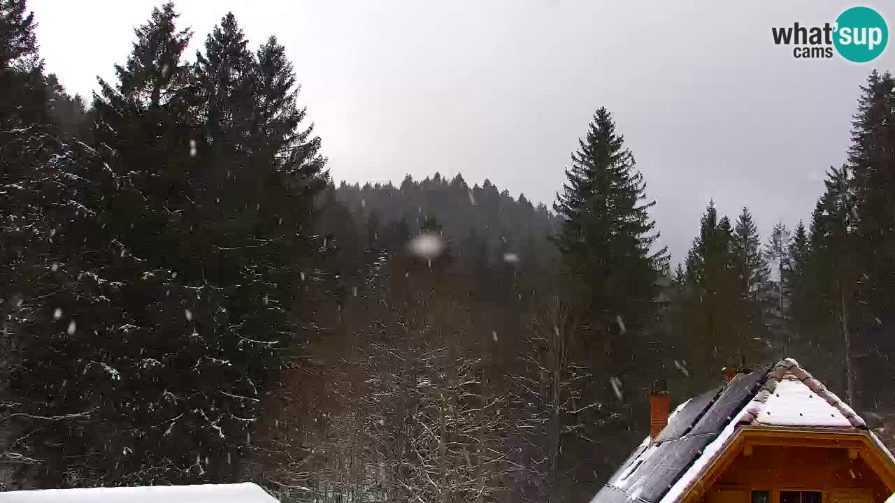 Webcam Lukanja – Water Village | Pohorje Houses