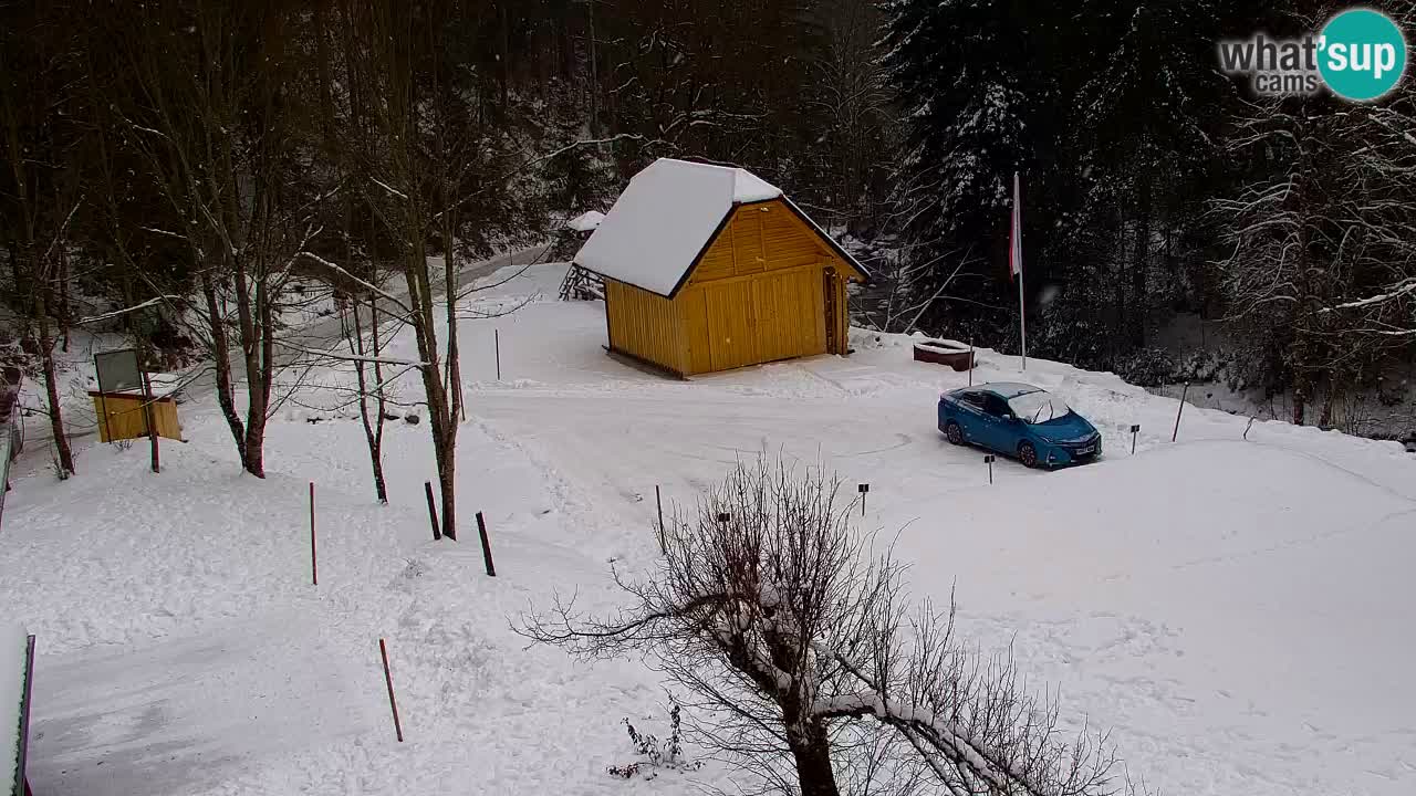 Webcam Lukanja – Water Village | Pohorje Houses