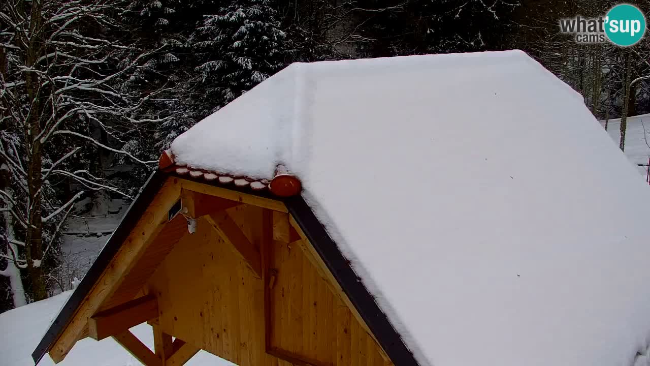 Webcam Lukanja – Pohorje houses a Water village