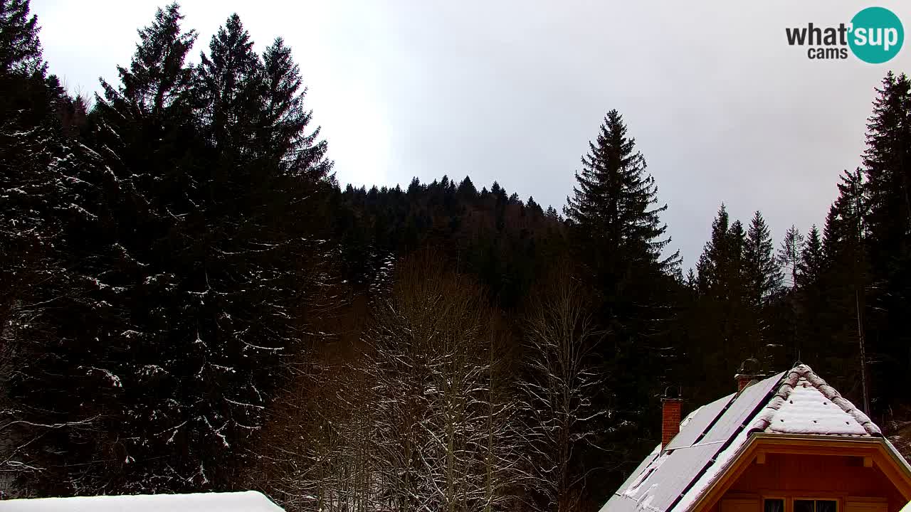 Webcam Lukanja – Water Village | Pohorje Houses