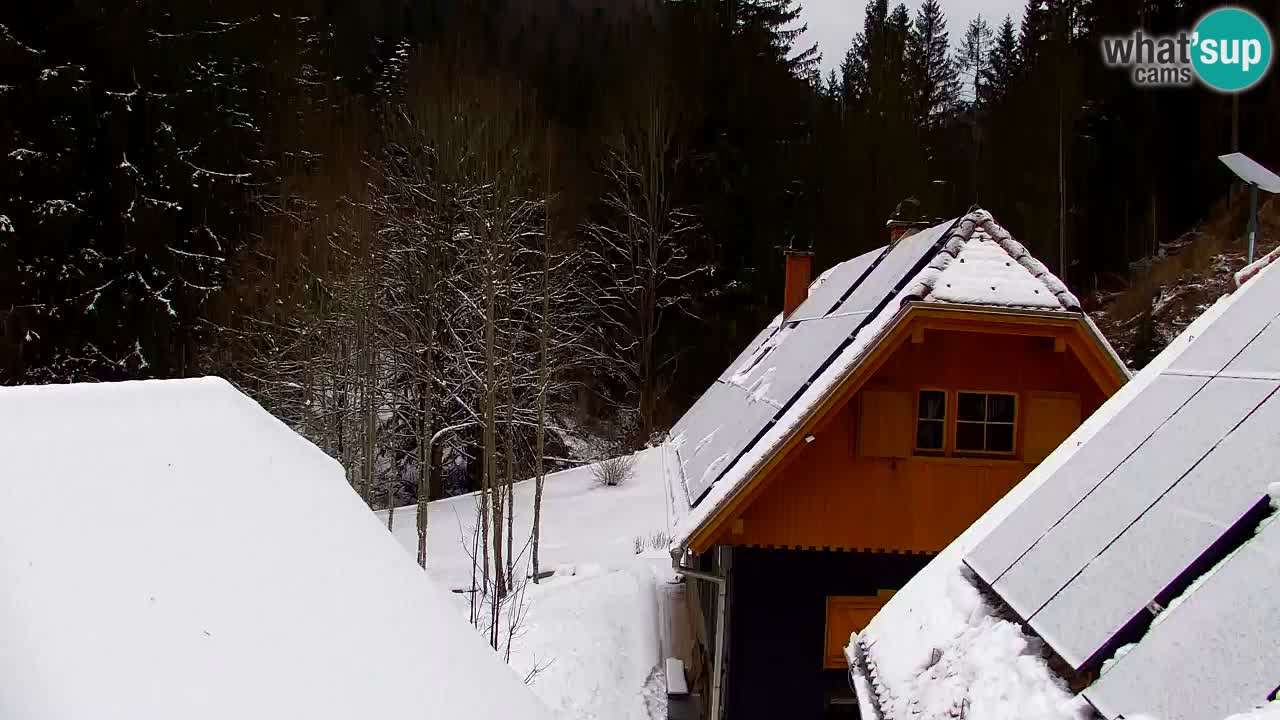 Webcam Lukanja – Water Village | Pohorje Houses