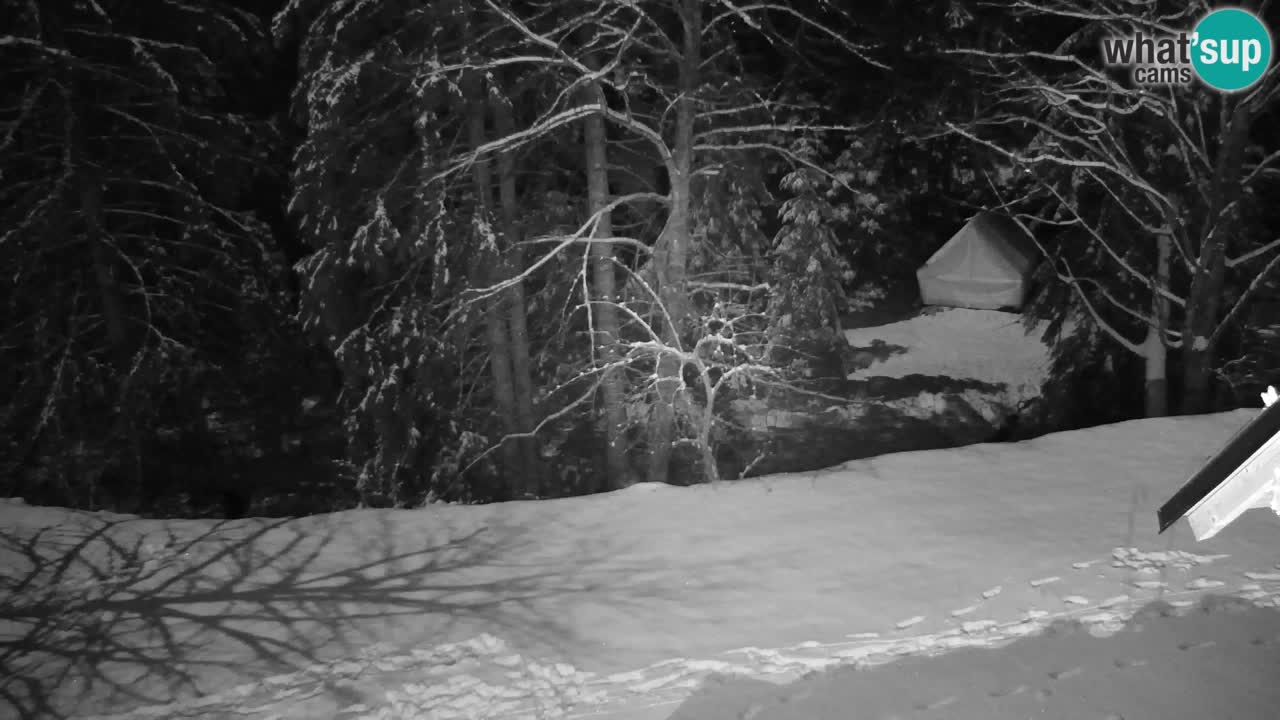 Webcam Lukanja – Water Village | Pohorje Houses